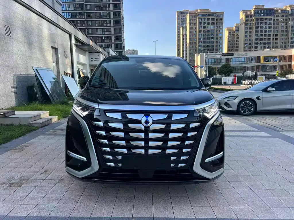 Denza Denza D9 — миниатюра 2