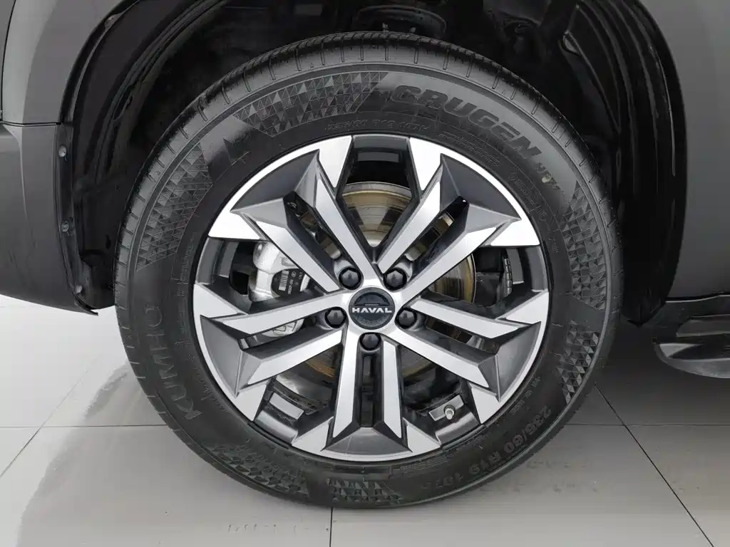 Haval Big Dog — миниатюра 17