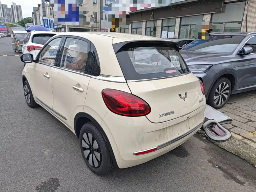 Wuling Binguo 2025 333km Enjoy
