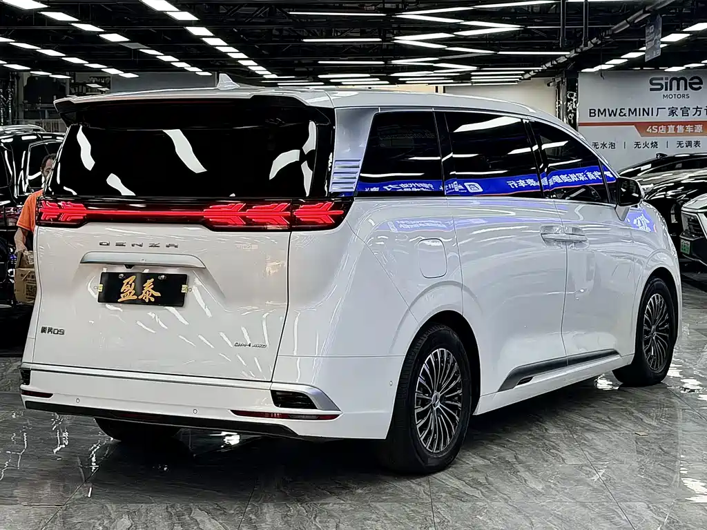 Denza Denza D9 — миниатюра 7
