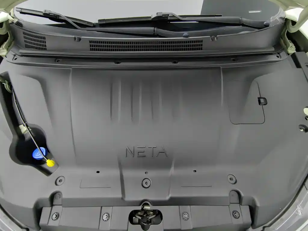 Neta Neta V — миниатюра 6