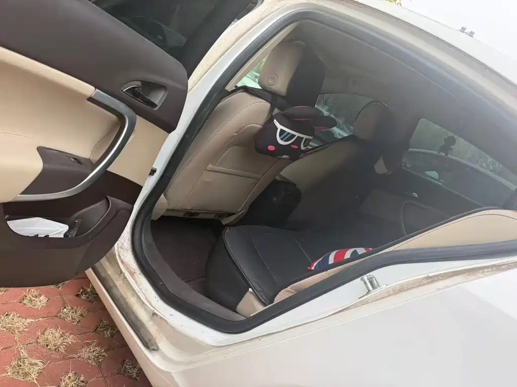 Buick Regal — миниатюра 5