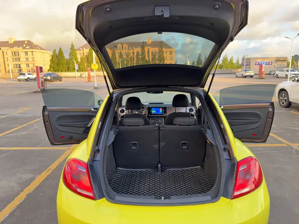 Volkswagen Beetle — миниатюра 14