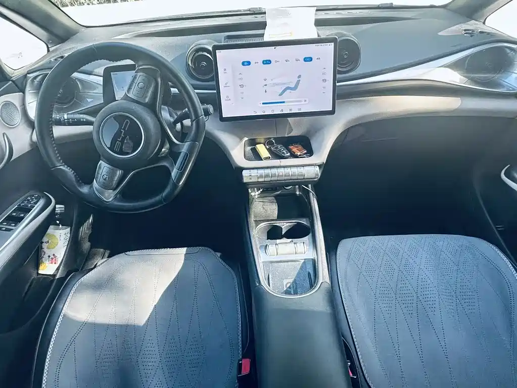BYD Dolphin 2023 420km Fashion