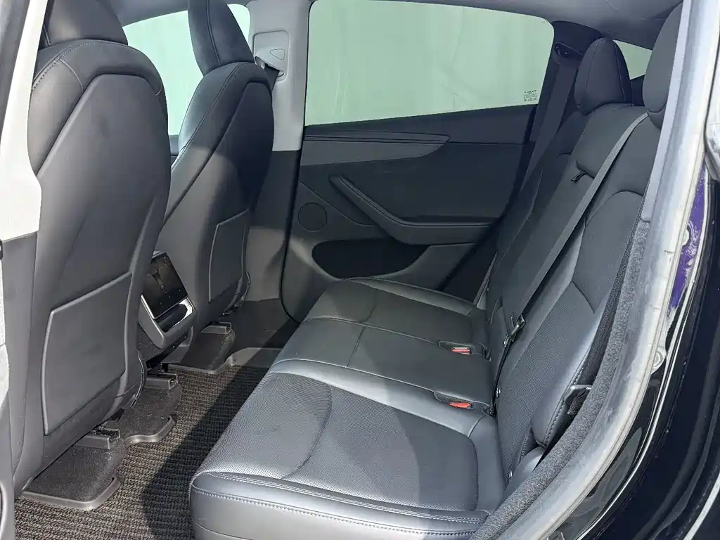 Tesla Model Y — миниатюра 6