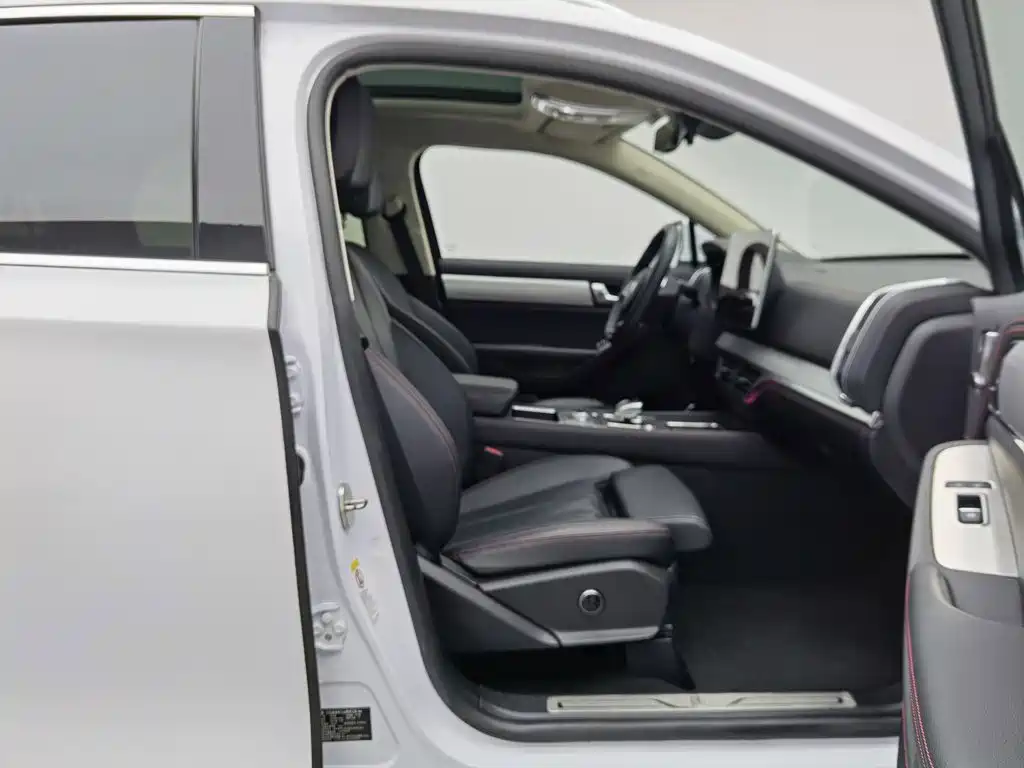 BYD Tang New Energy — миниатюра 23