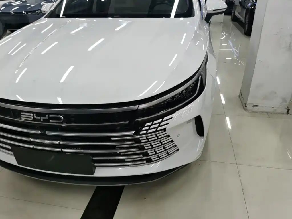 BYD Destroyer 05 — миниатюра 24