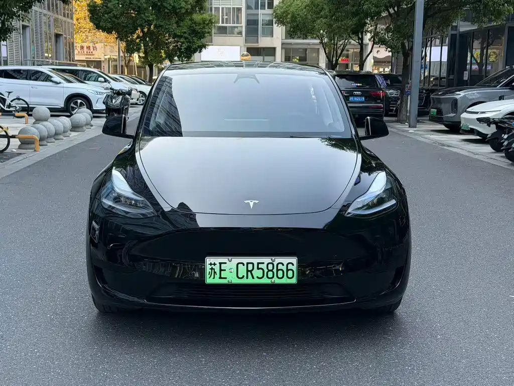 Tesla Model Y — миниатюра 2