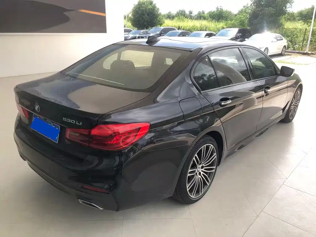 BMW 5 Series — миниатюра 2