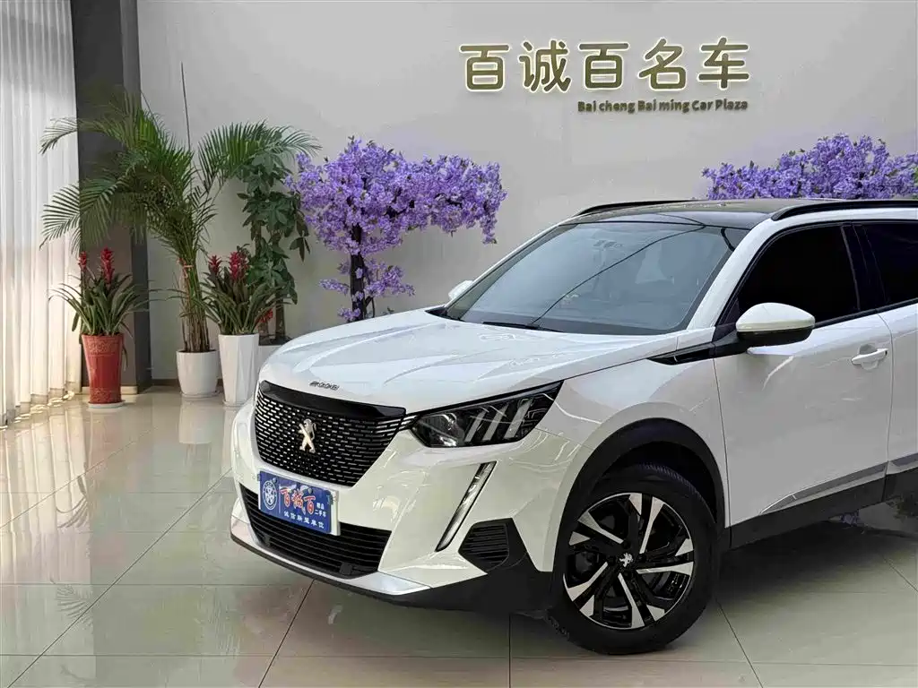 Peugeot 2008 - фото 3