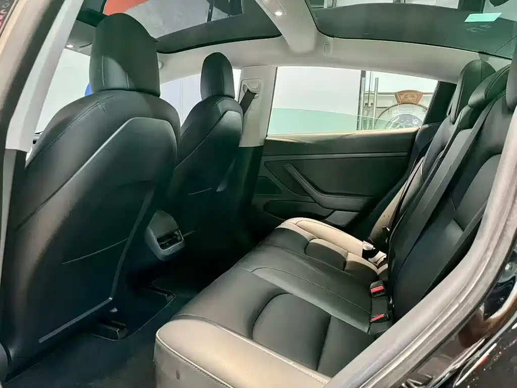Tesla Model 3 — миниатюра 6