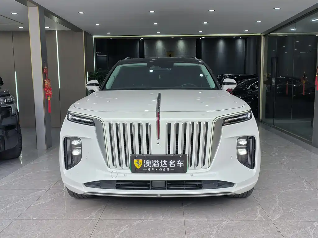 Hongqi Hongqi E-HS9 — миниатюра 2