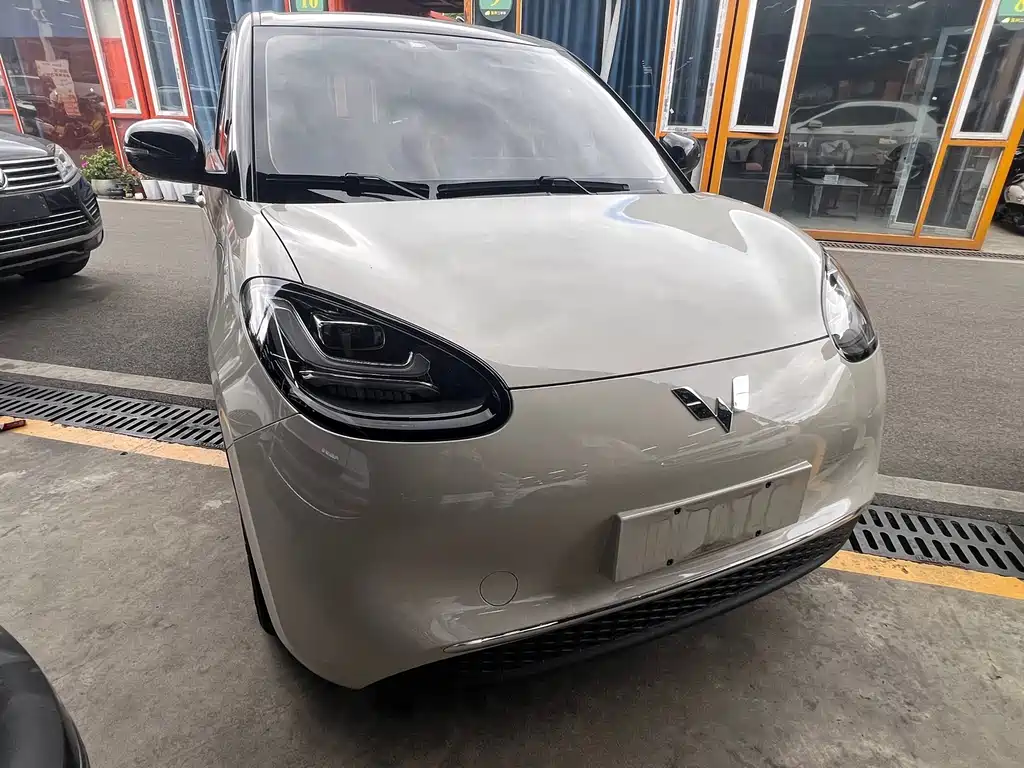 Wuling Binguo 2024 333km Enjoy