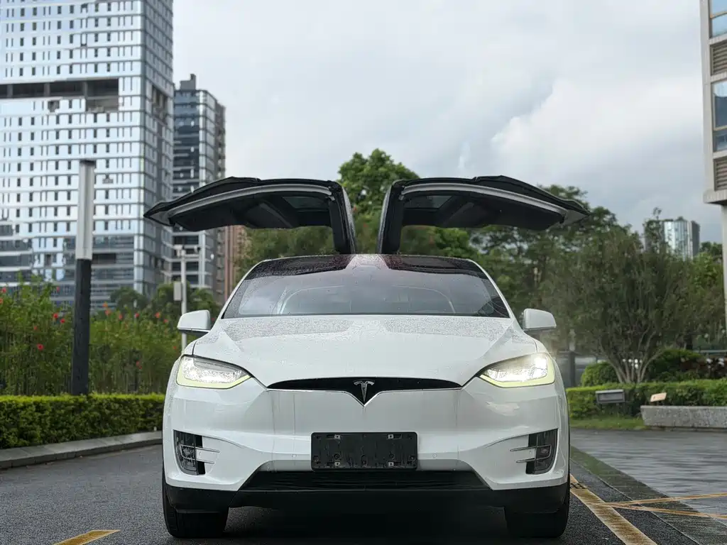 Tesla Model X — миниатюра 2
