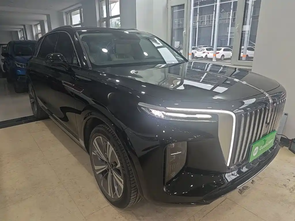 Hongqi E-HS9 2022 690km мест