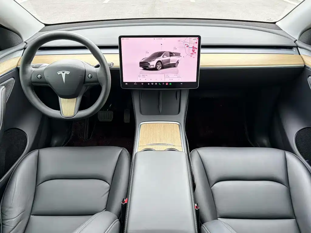 Tesla Model Y — миниатюра 5