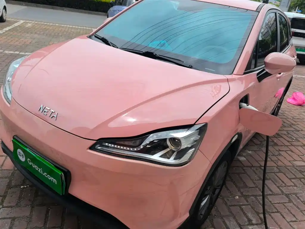 Neta Neta V 2021