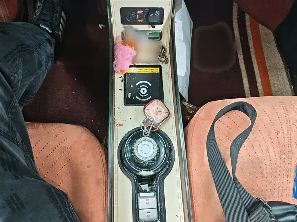 Wuling Binguo 2024 333km Enjoy