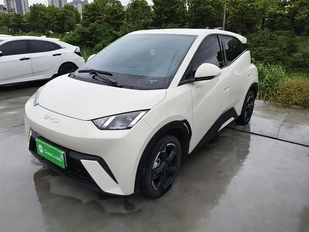 Byd Seagull 2023