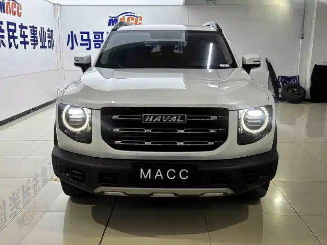HAVAL BIG DOG