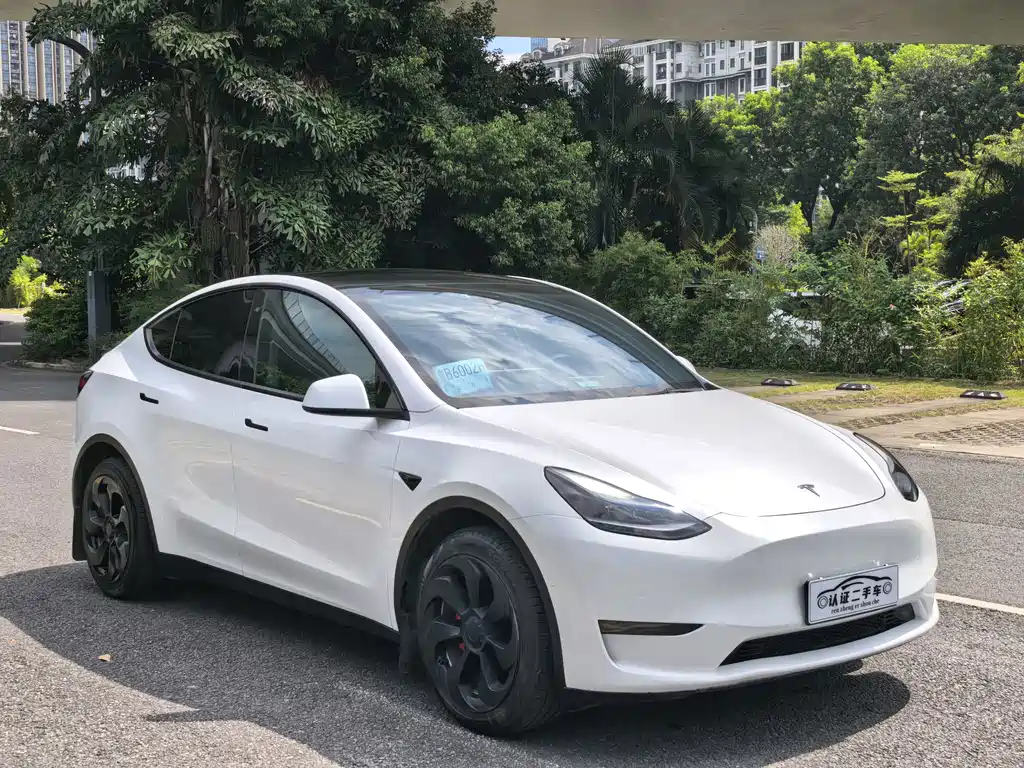Tesla Model Y — миниатюра 3