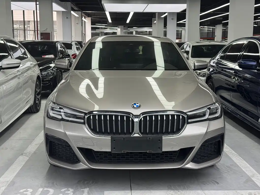 BMW 5 Series 5 2022 530Li Lead M Sport