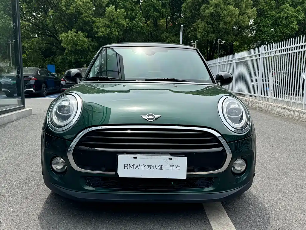 Mini Mini 2019