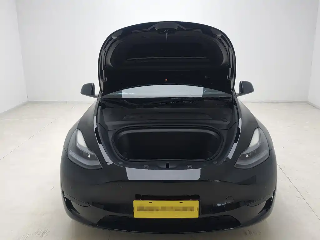Tesla Model Y — фотографии объявления, Фото 11
