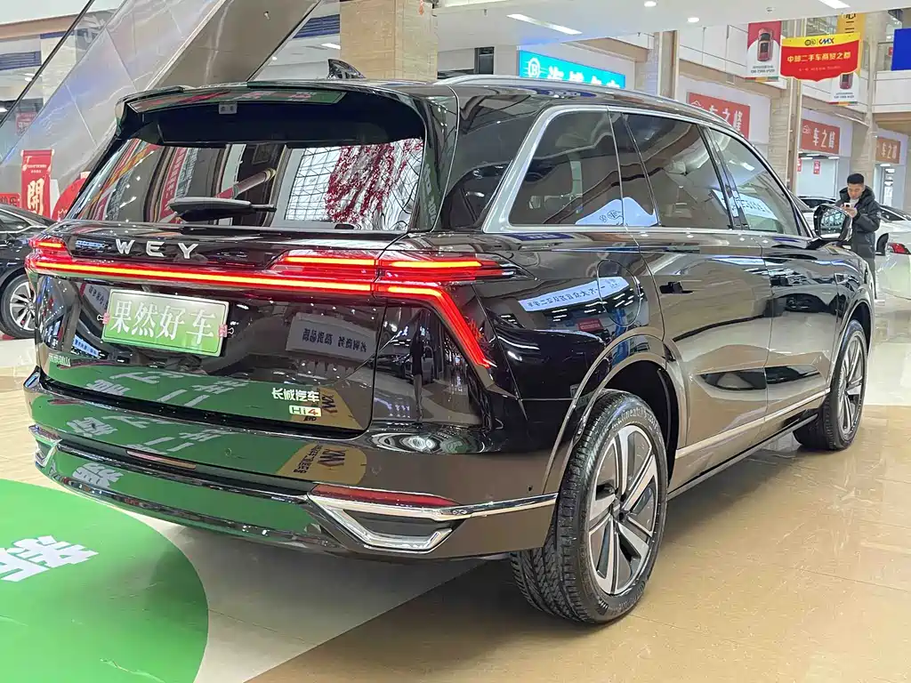 WEI PAI WEI BRAND BLUE MOUNTAIN