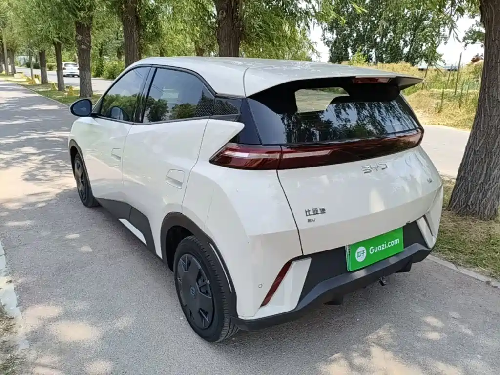 BYD Seagull 2024 305km