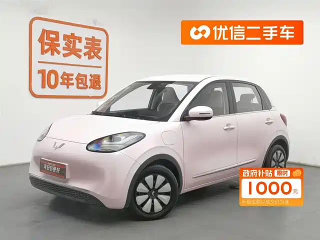 WULING AUTOMOBILE WULING BINGGUO 2023