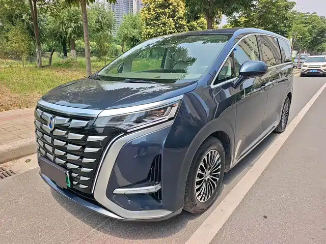 2023 Denza D9