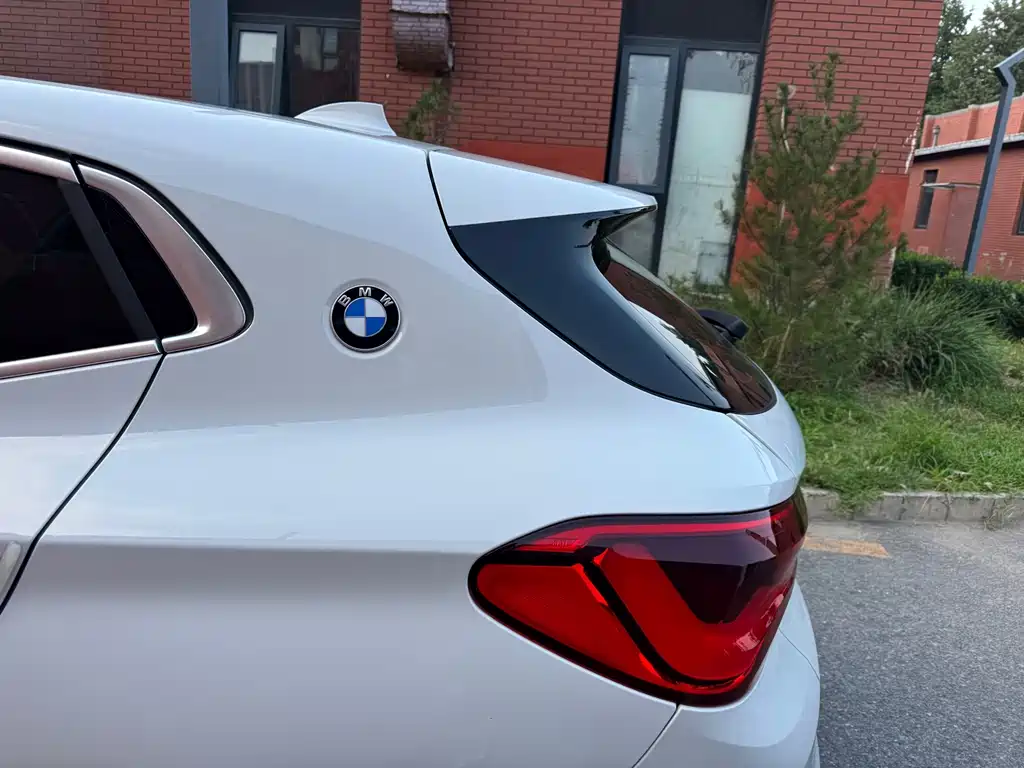BMW X2 (Import) — миниатюра 15