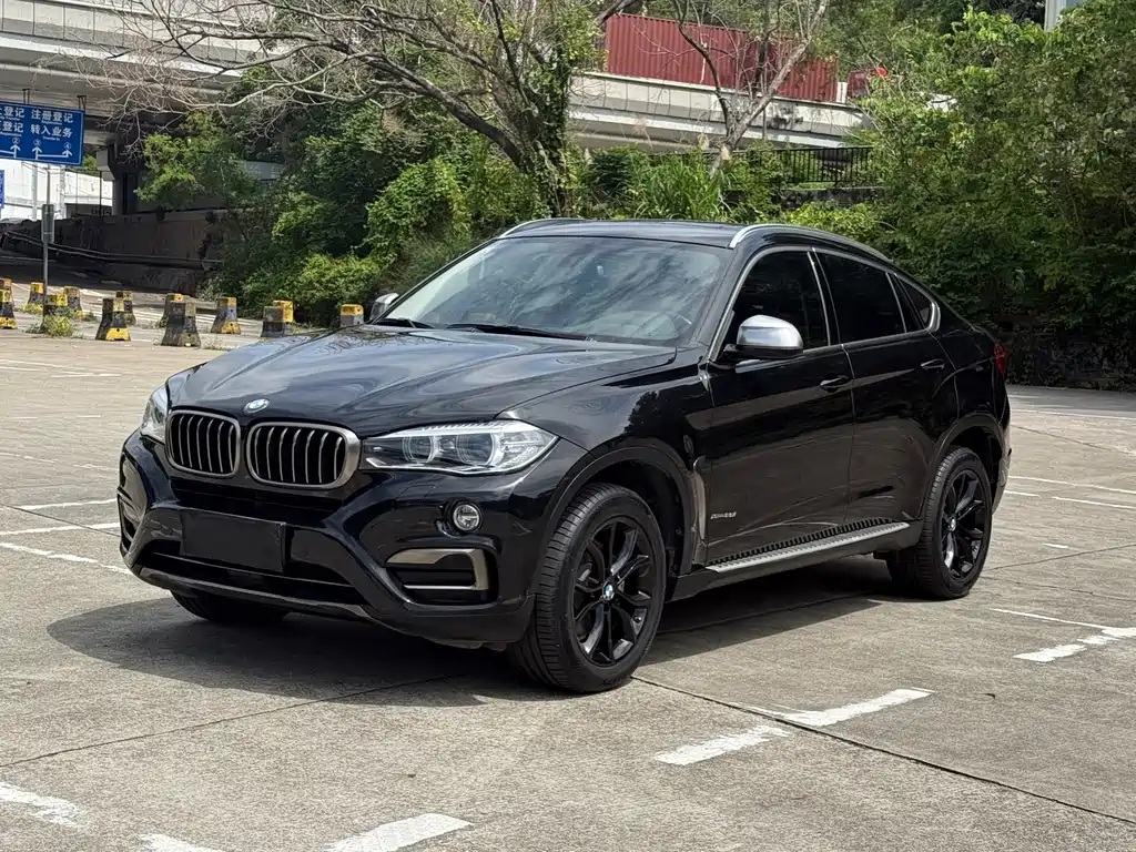 BMW X6 2018