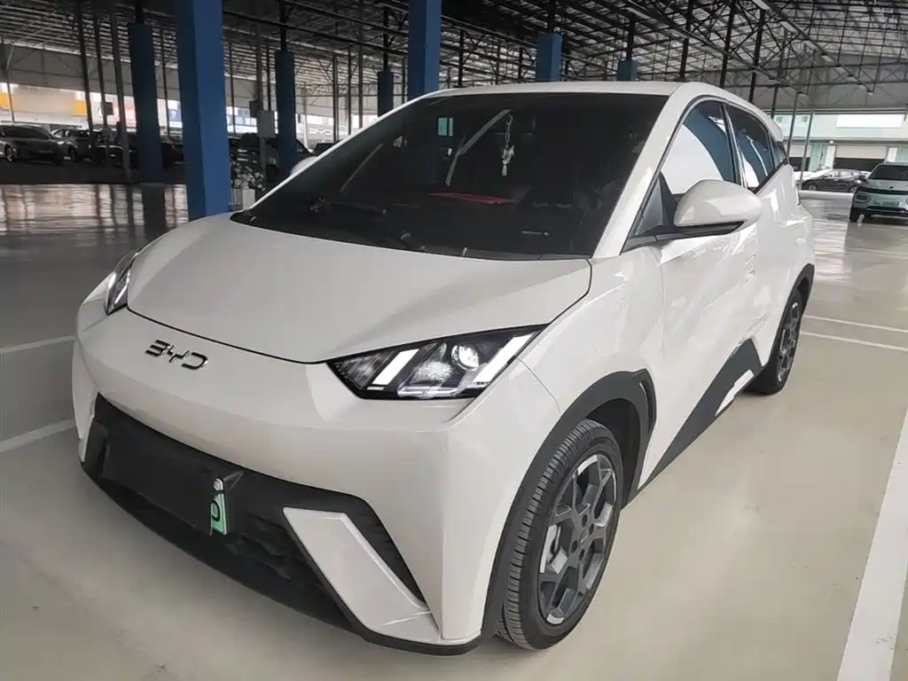 Byd Seagull 2024
