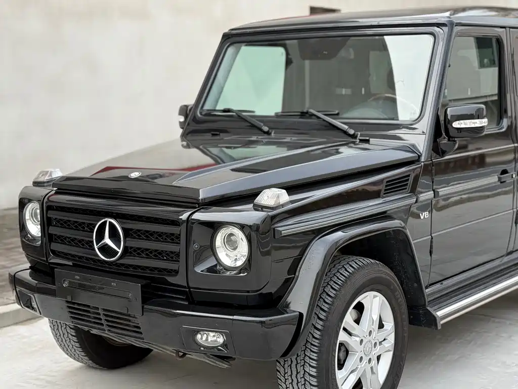 Mercedes-Benz G-Class G 2010 G 500