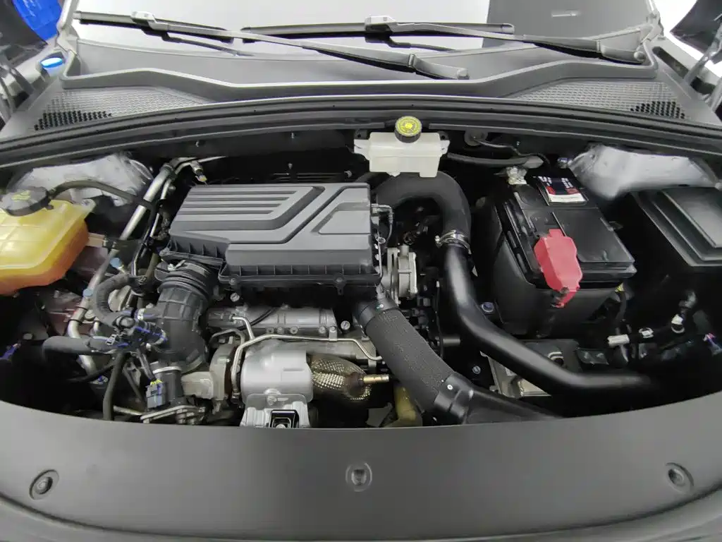 BYD PLUS — миниатюра 6