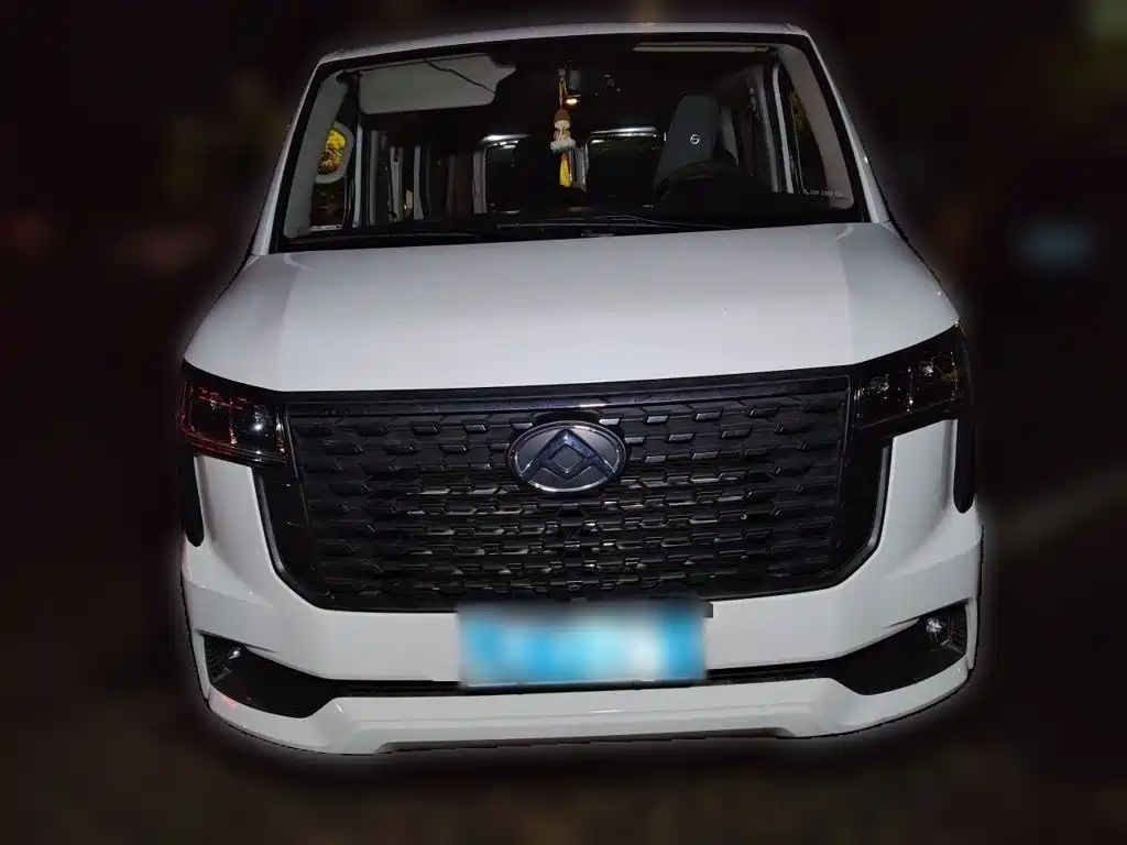 MAXUS V80 — миниатюра 2