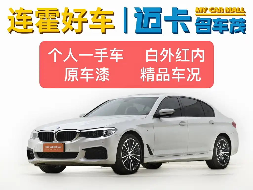 BMW 5 Series 2019
