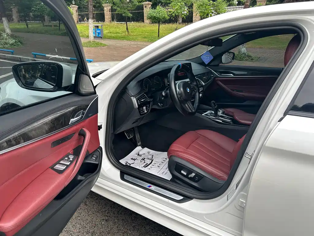BMW 5 Series 5 2019 530Li xDrive M Sport