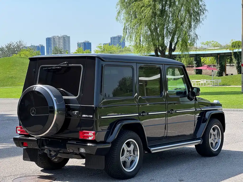 Mercedes-Benz G-Class A MG G AMG 2009 AMG G 55