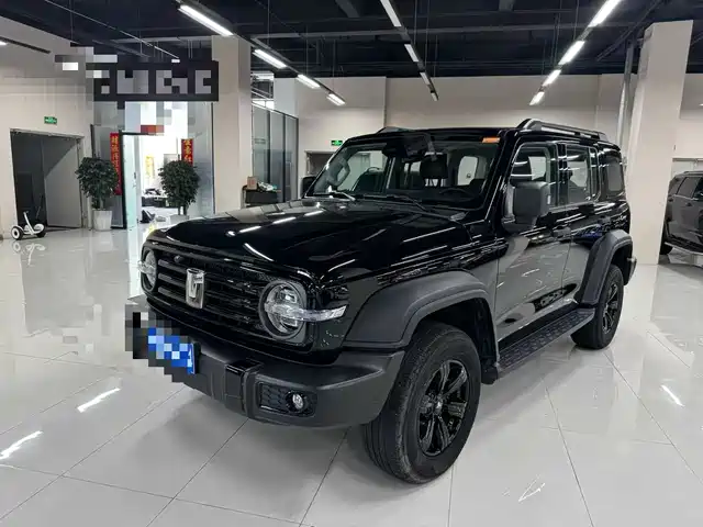 2025 TANK 300
