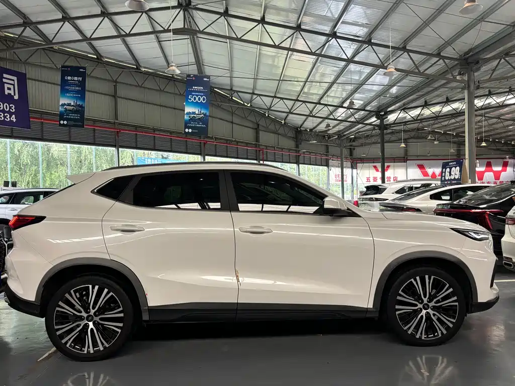 Oshan Oushang X5 — миниатюра 11