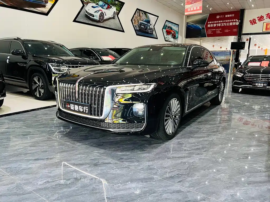Hongqi Hongqi H9 2021
