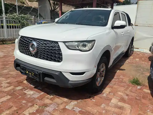 GREAT WALL CANNON 2021