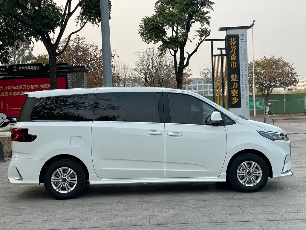 SAIC MAXUS CHASE G20