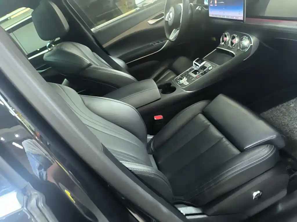 Denza Denza X — миниатюра 25