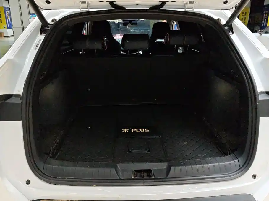 BYD PLUS New Energy — миниатюра 4