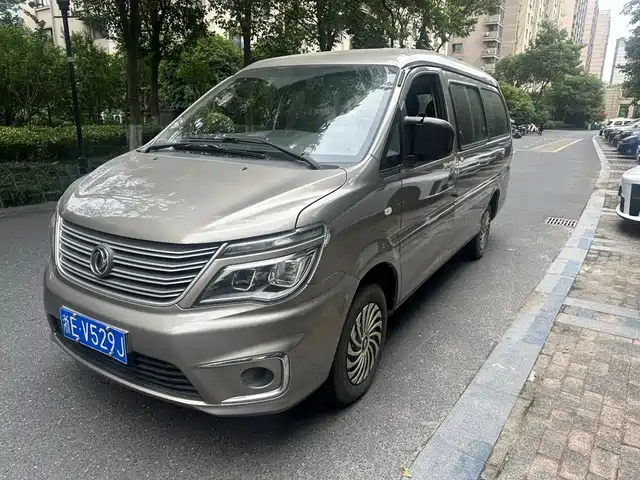 2019 DongFeng Forthing Lingzhi
