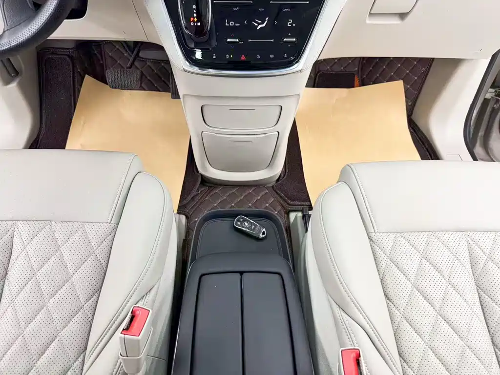 Buick GL8 — миниатюра 19